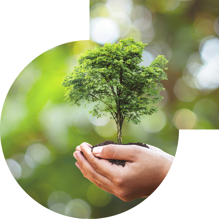 关怀人类、文化、环境与社会